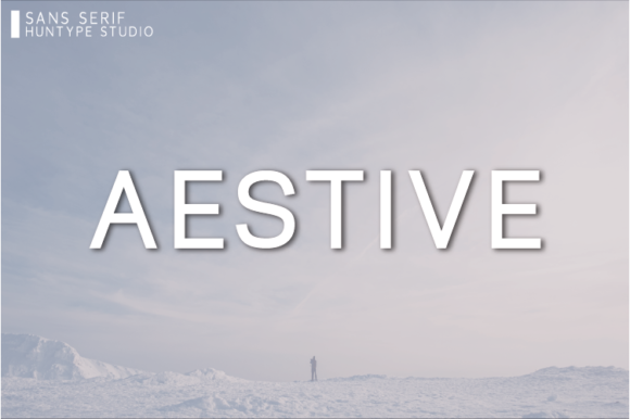 Aestive: A Font for Clear Campaigns