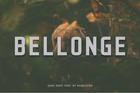 Bellonge: A Font for Clear, Strong Campaigns