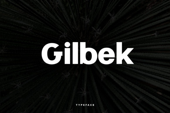 Gilbek Font for Professional Branding