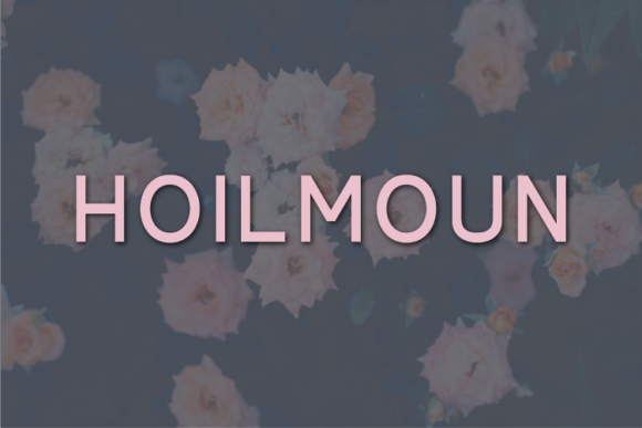 Hoilmoun: A Font for Modern Campaigns