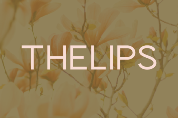 Thelips: A Clean Sans Serif Font