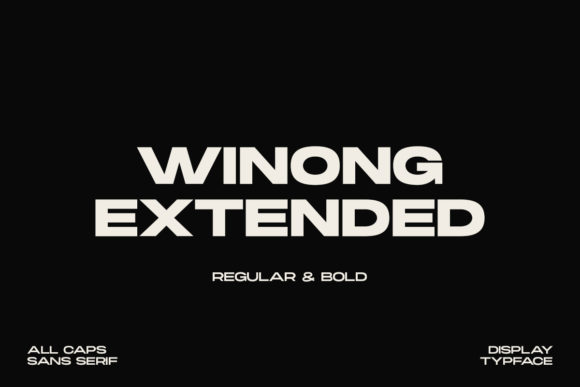 Winong Extended Review: A Bold Sans Serif for Real Projects
