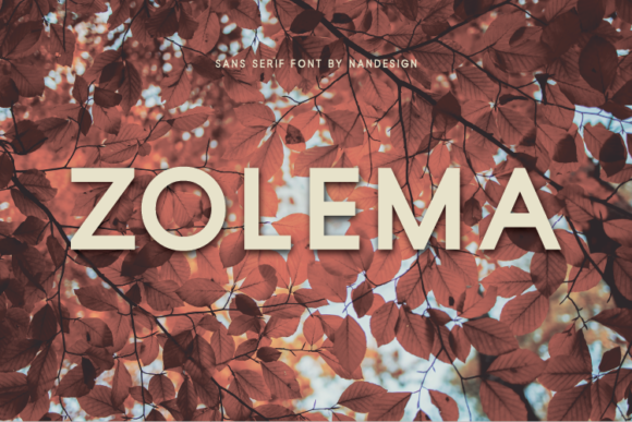 Zolema: A Clean Sans Serif for Campaigns